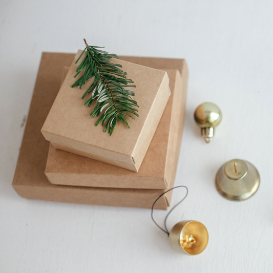 Top Gift Ideas for the Plant Lover!