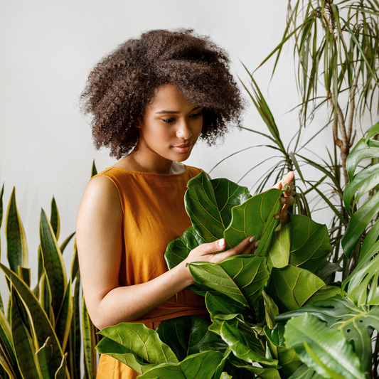 Spending time with plants has many benefits