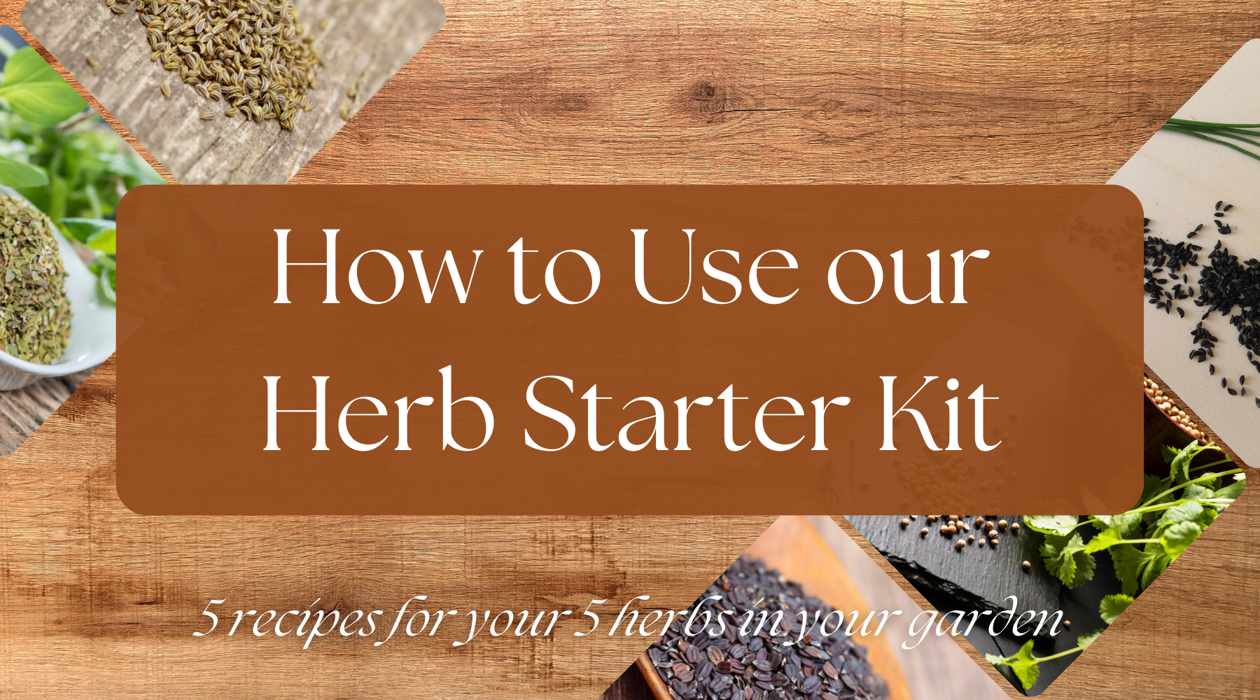 How To Use Our Herb Starter Kit – Live Long And Plant