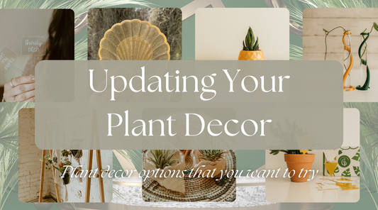 Updating Your Plant Decor