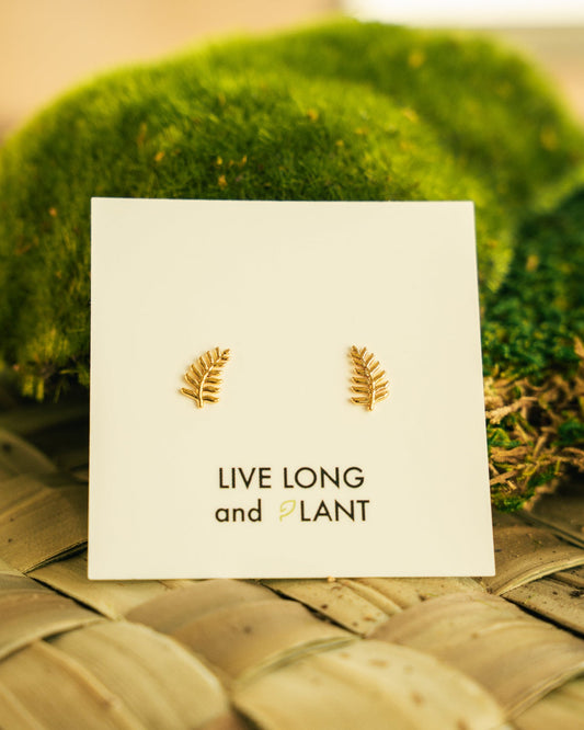 A pair of small gold fern-shaped stud earrings displayed on a white card that reads 'LIVE LONG and PLANT', set against a blurred green moss and woven natural background.