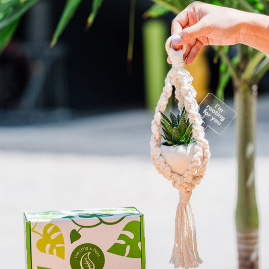 Macrame Plant Hanger with Small Wooden Ring
