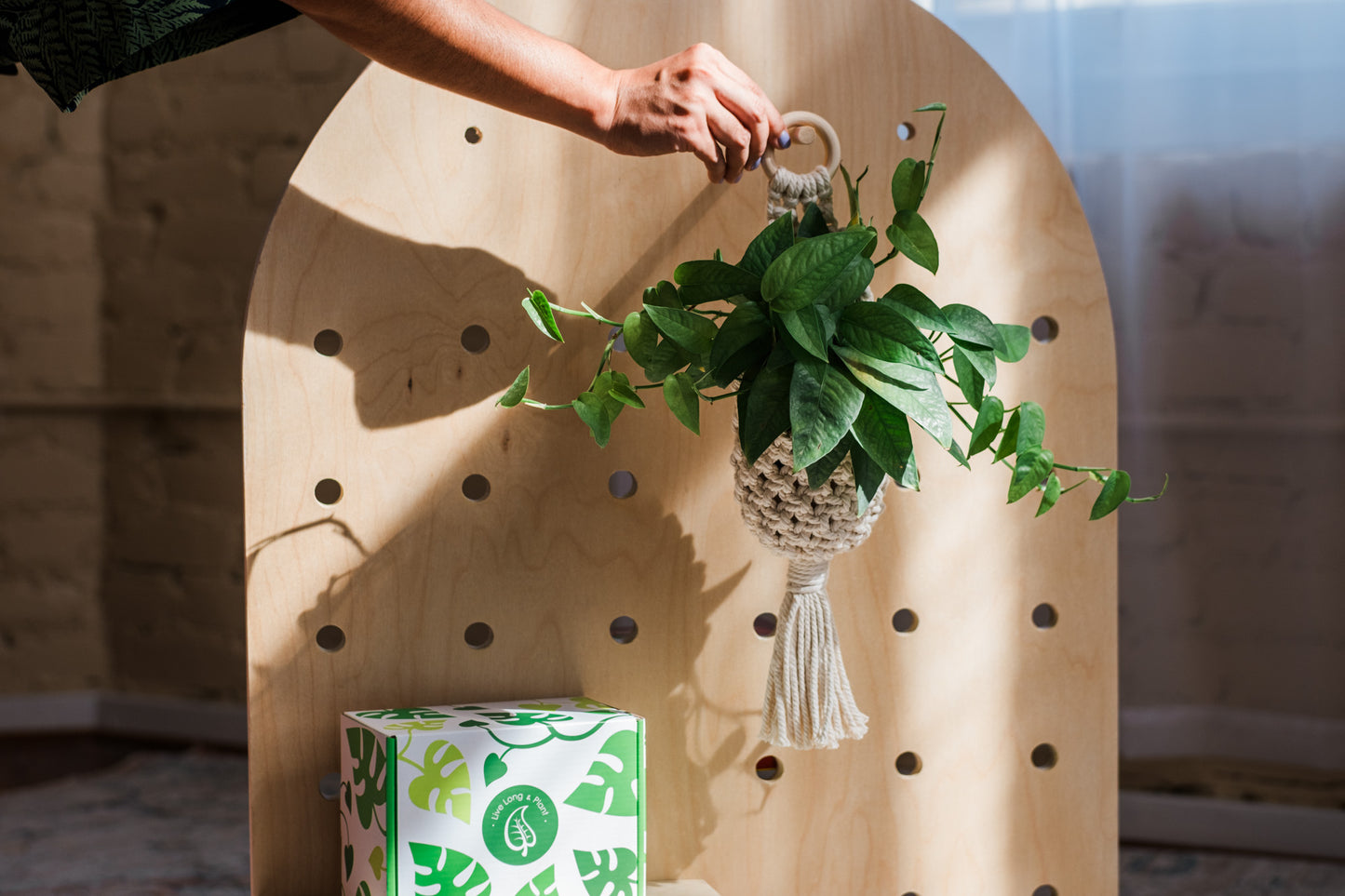 Macrame Hanger Basket