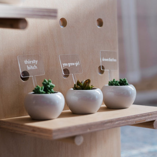 Garden accessories, plant decor, personalized plant stakes, custom garden decor, Transparent plant stakes, acrylic plant accessories, plant labeling, decorative plant stakes, high-quality acrylic, easy-to-clean plant stakes