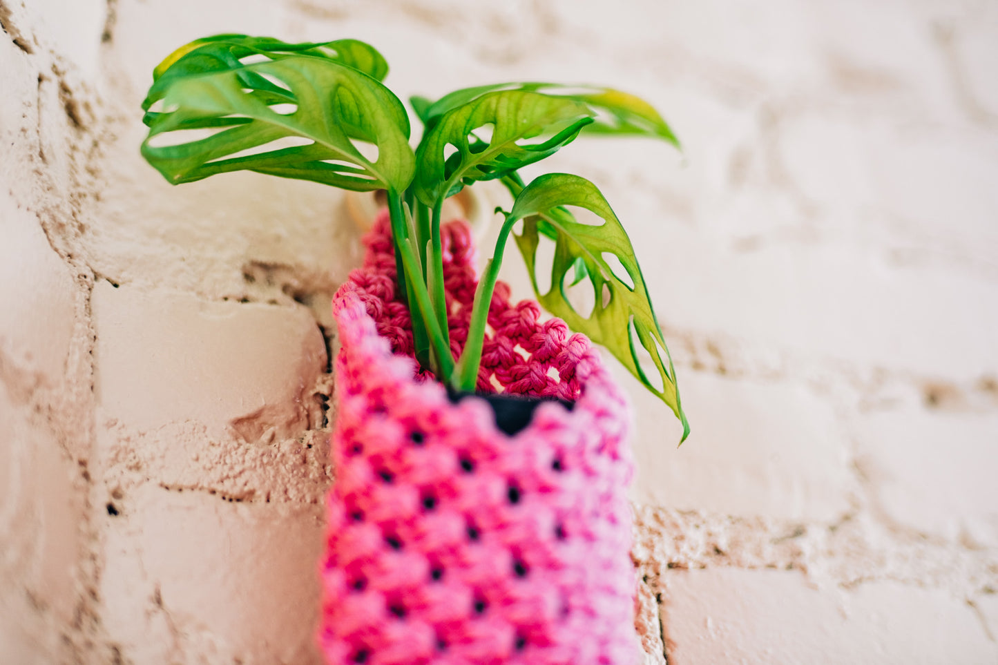 Macrame Hanger Basket