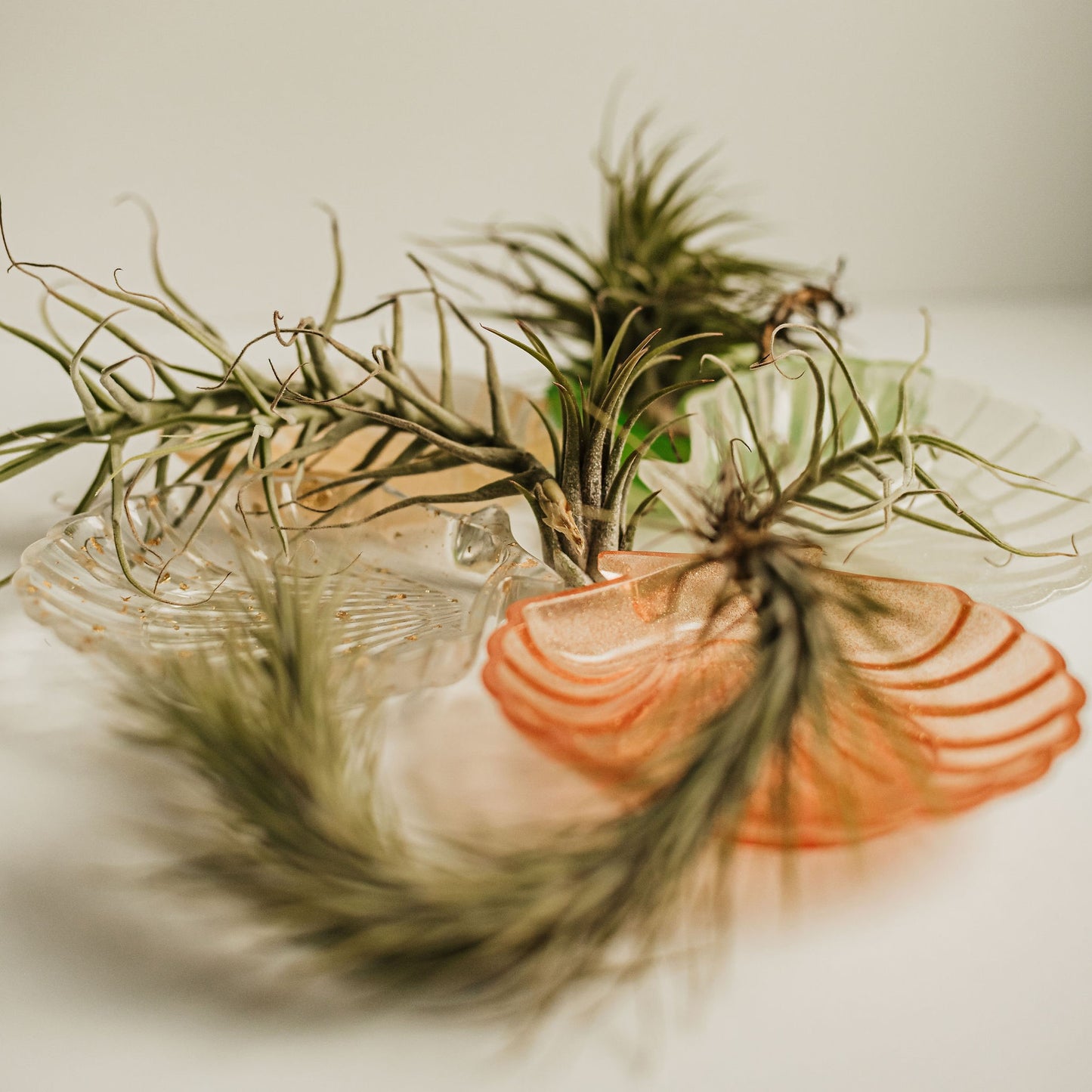 resin art, resin dish, resin shell, resin artwork, jewelry dish, trinket holder, trinket dish, accessory holder