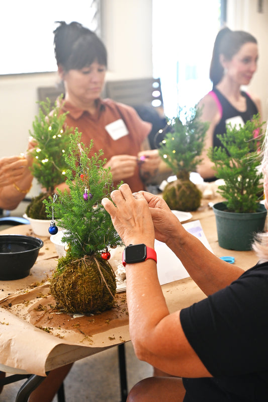 Kokedama Christmas Tree Workshop in Hawai‘i🎄