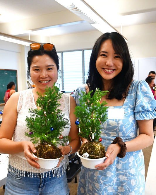 🎄Kokedama Christmas Tree Workshop in Hawai‘i🎄