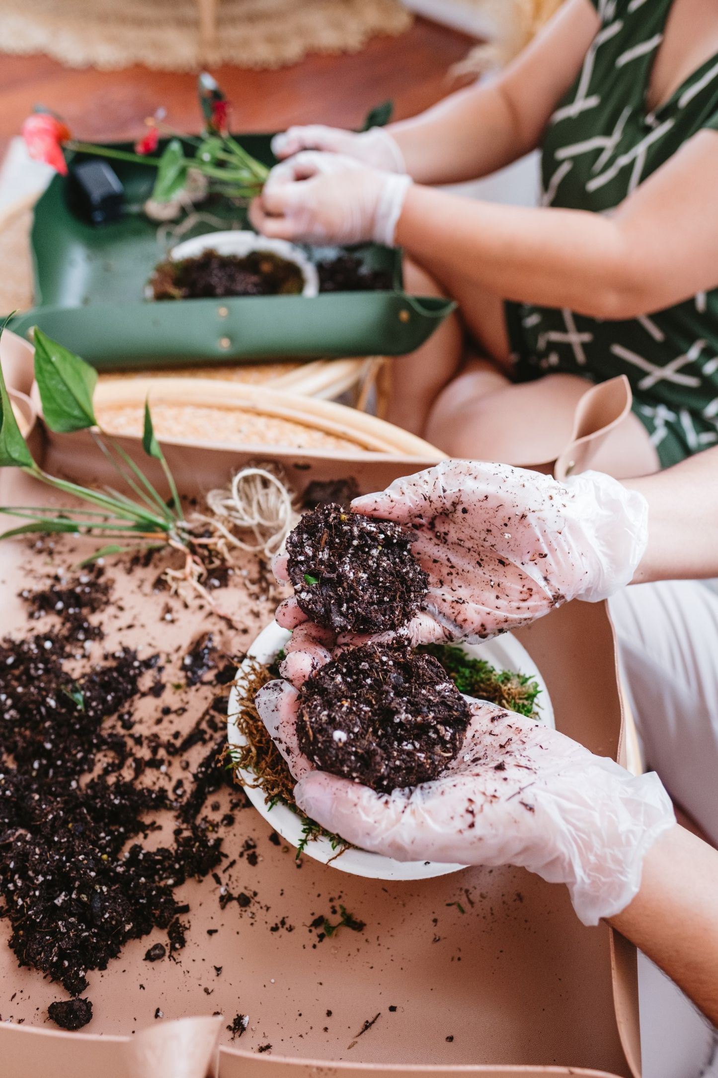 🎄Kokedama Christmas Tree Workshop in Hawai‘i🎄
