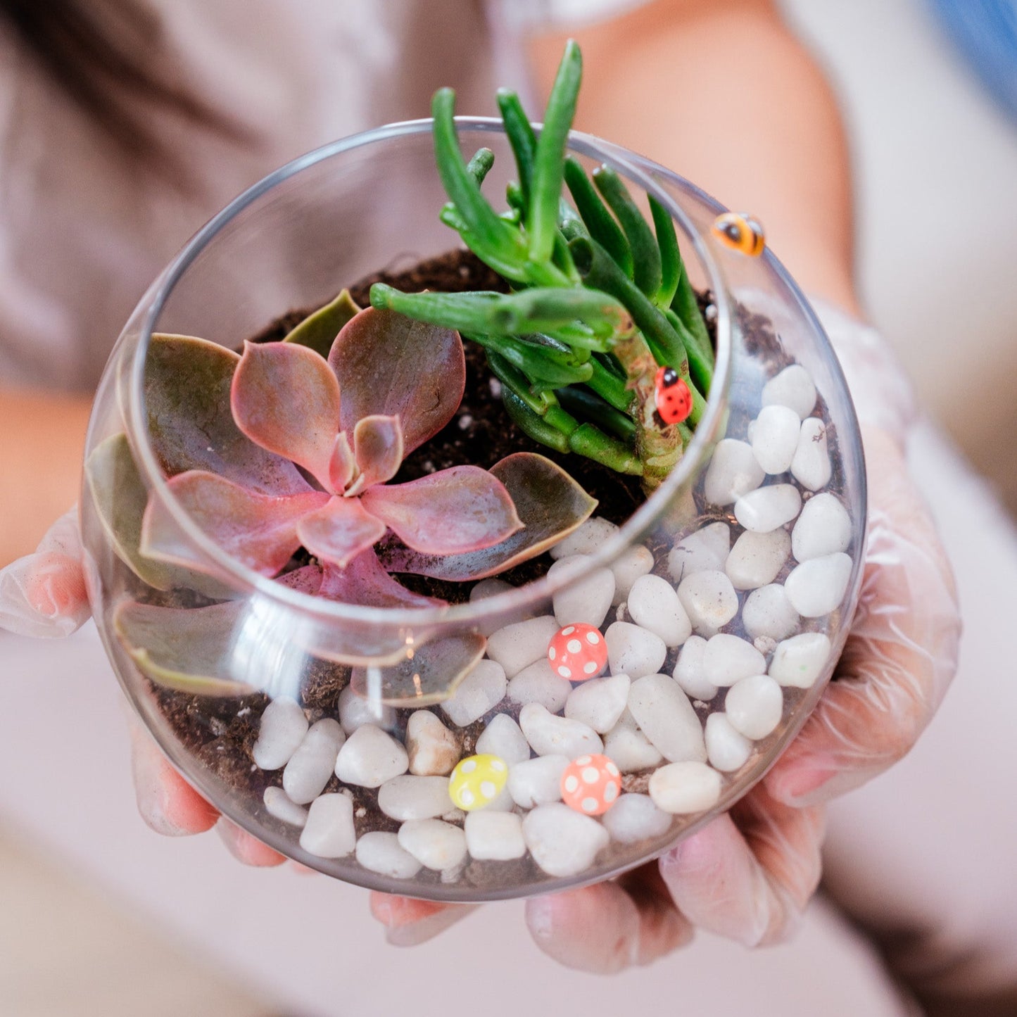 Succulent Terrarium Workshop: A Therapeutic and Creative Experience