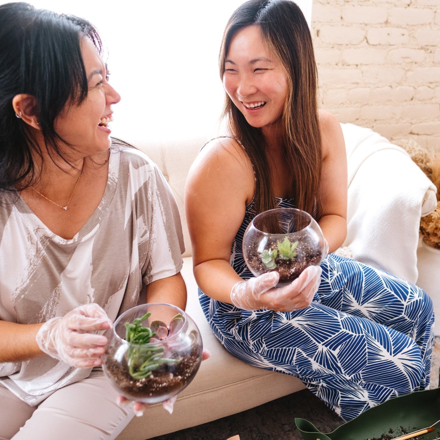Succulent Terrarium Workshop: A Therapeutic and Creative Experience