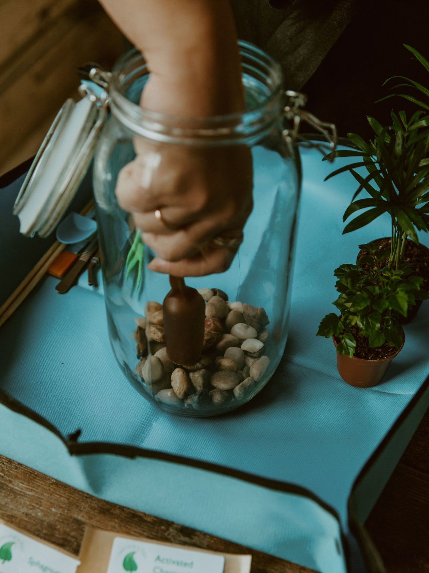 Houseplant Closed Terrarium (Private Party)