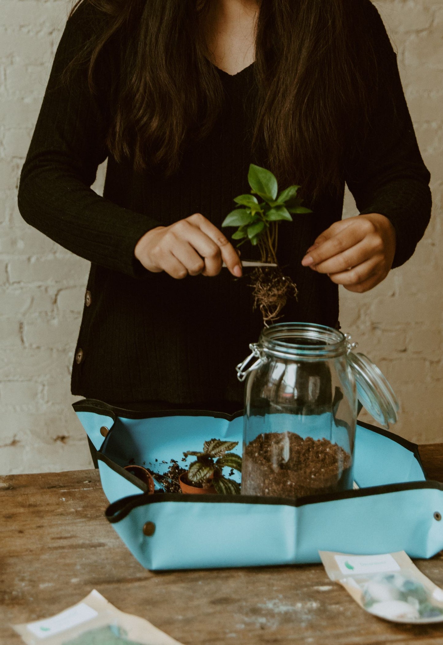 Houseplant Closed Terrarium (Private Party)