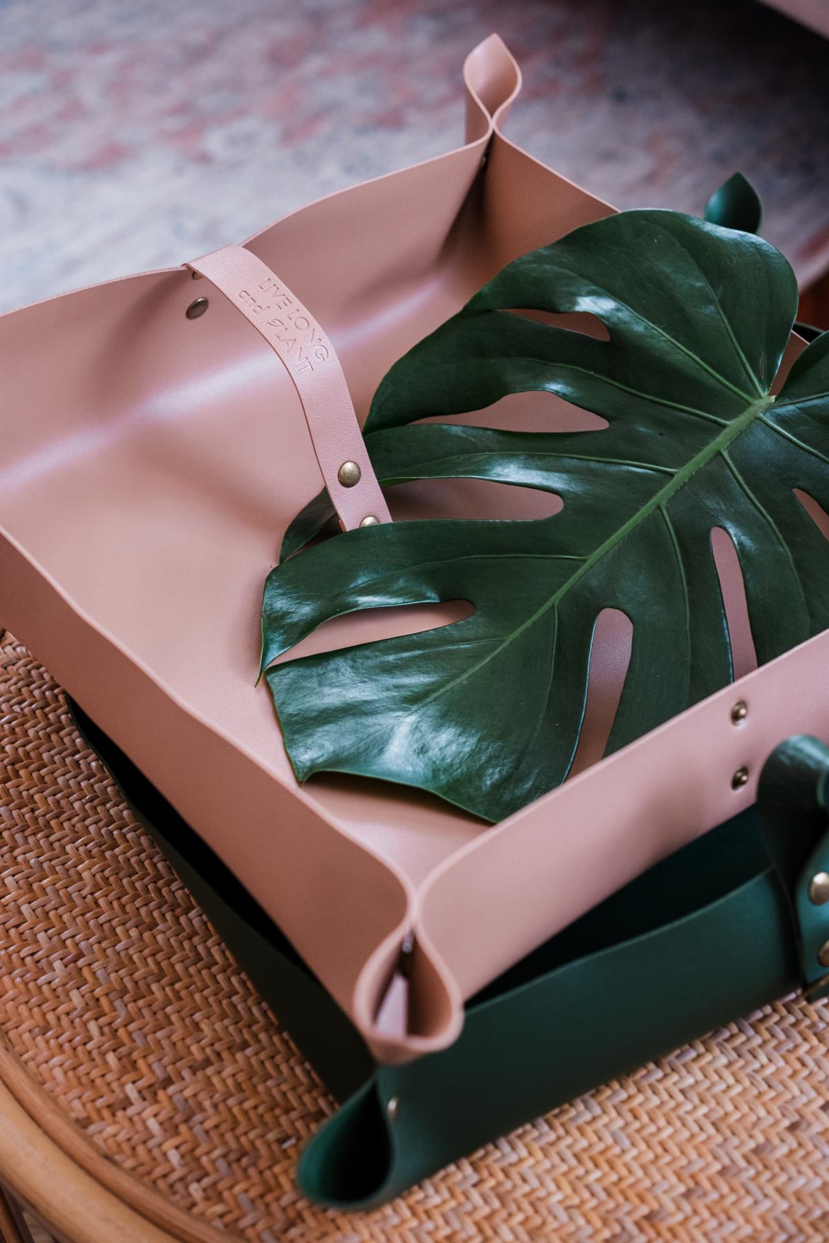 Houseplant Re-Potting Mat