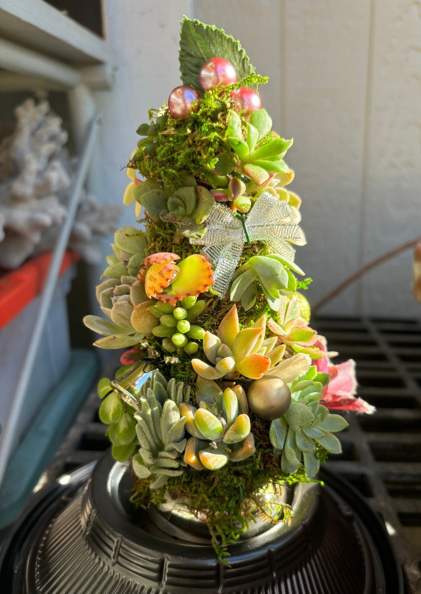 succulent christmas ornament Succulent Christmas Tree Workshop 🎄