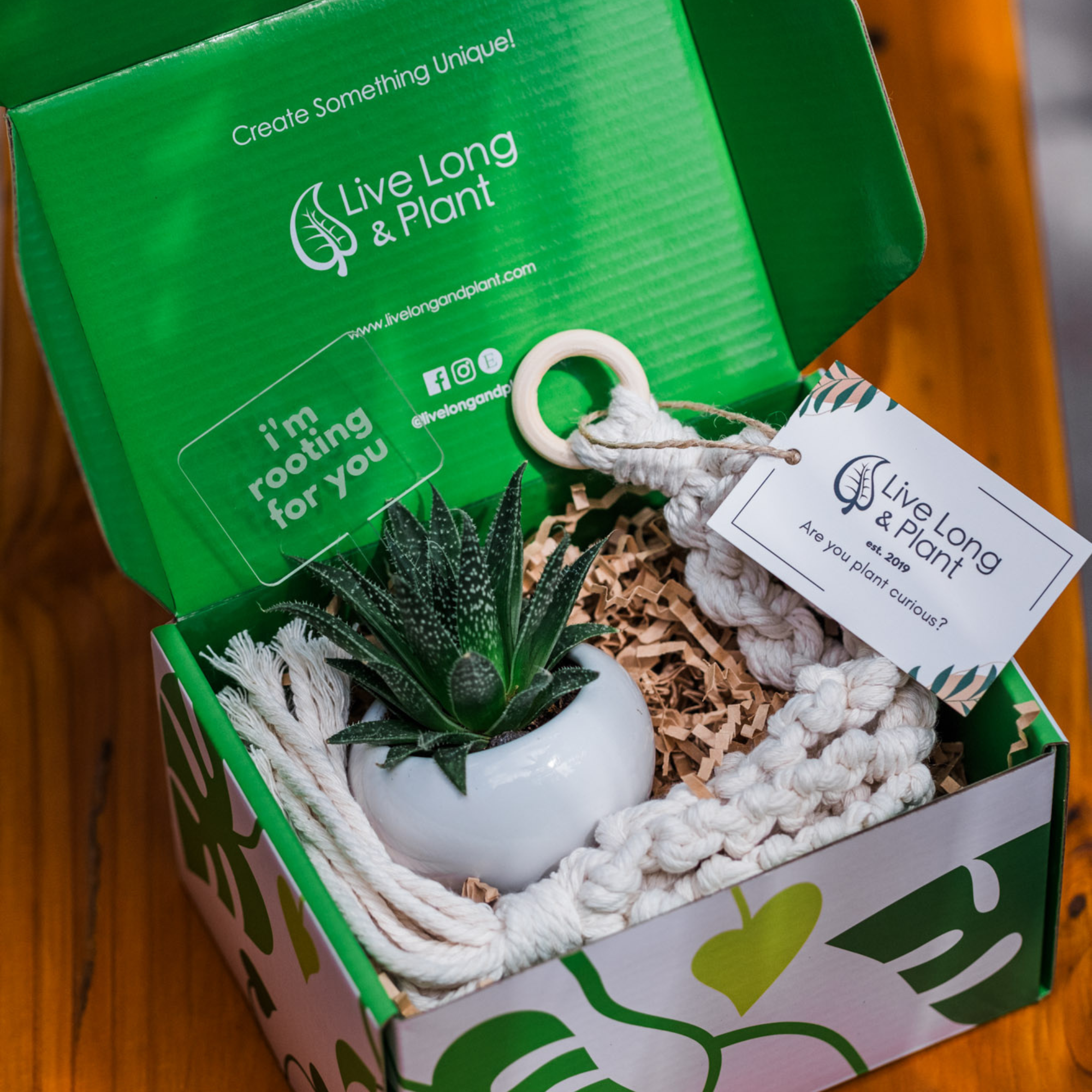 succulent in a box Macrame Hanger Succulent Gift Box Drown That Hoe