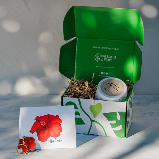 Mahalo Hibiscus Spa Gift Box