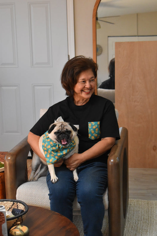 Person holding a pug in a patterned shirt in a home setting