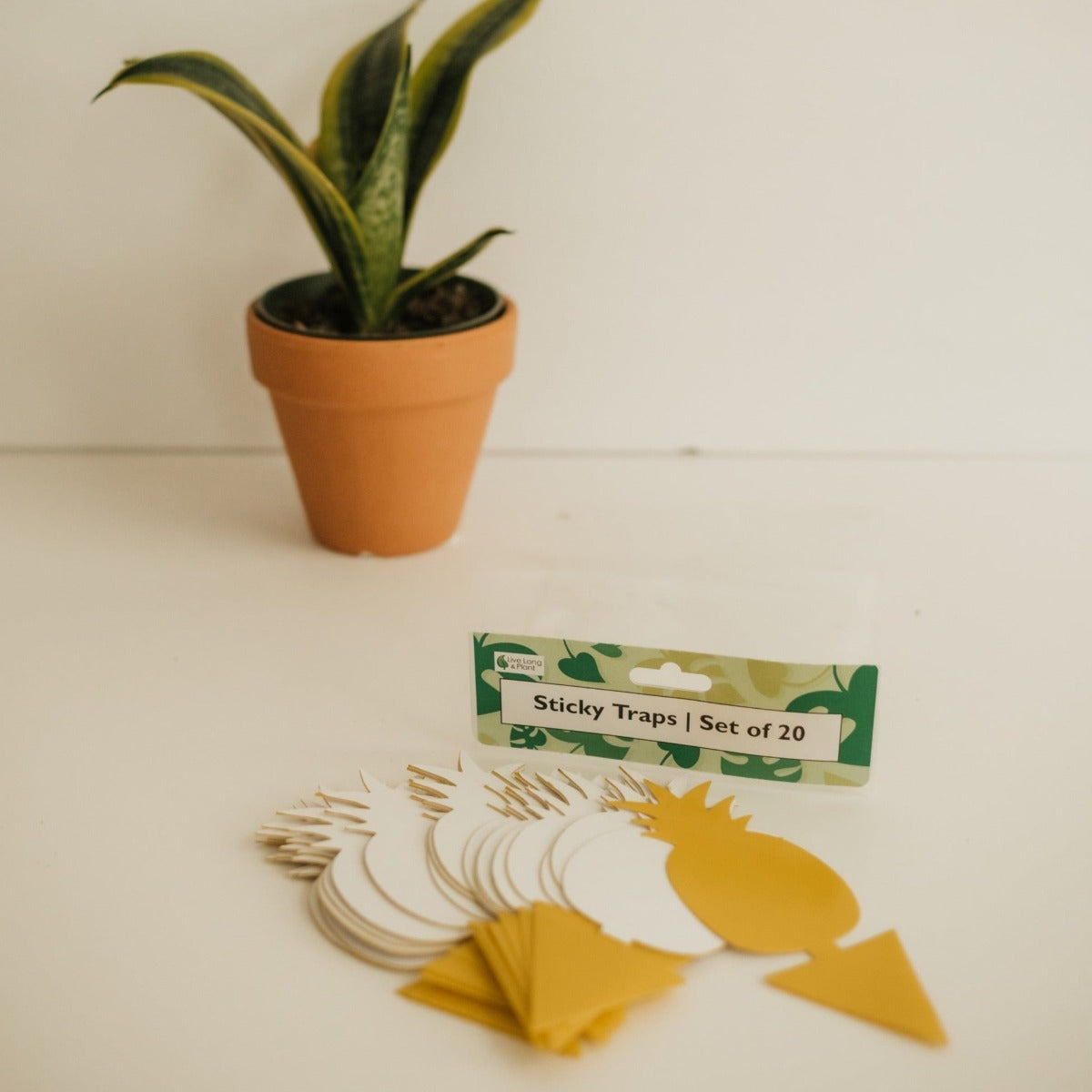 stick trap, fly trap, gnat trap, sticky gnat trap, plant accessories, plant tools
