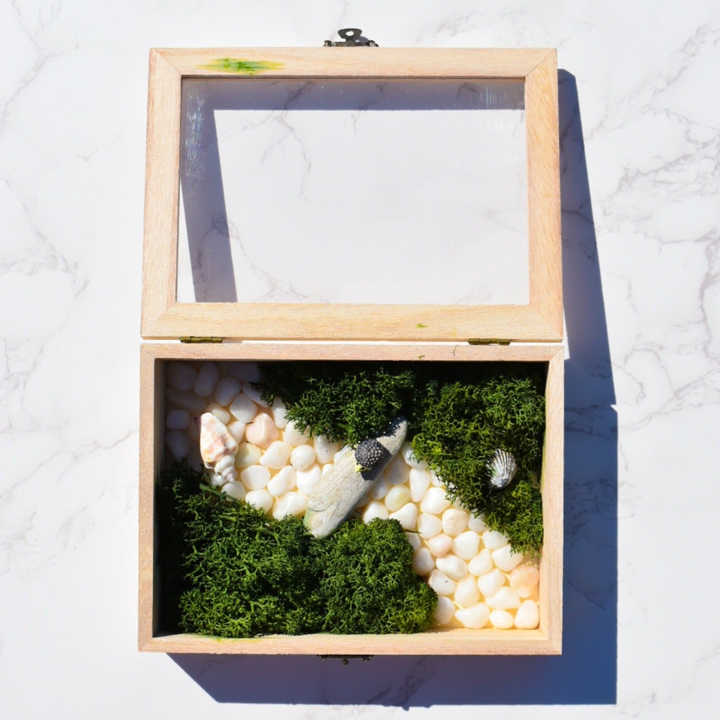 DIY Moss Art, DIY Kit, Moss Art, Moss Art Kit, Holiday Gift, Christmas Gift, Birthday Gift, Wall Art, DIY Moss Kit, Activity Box Diy Crafts