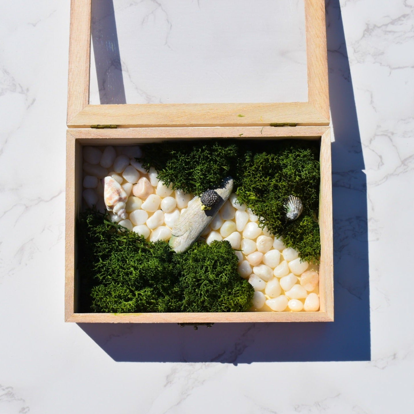 DIY Moss Art, DIY Kit, Moss Art, Moss Art Kit, Holiday Gift, Christmas Gift, Birthday Gift, Wall Art, DIY Moss Kit, Activity Box Diy Crafts
