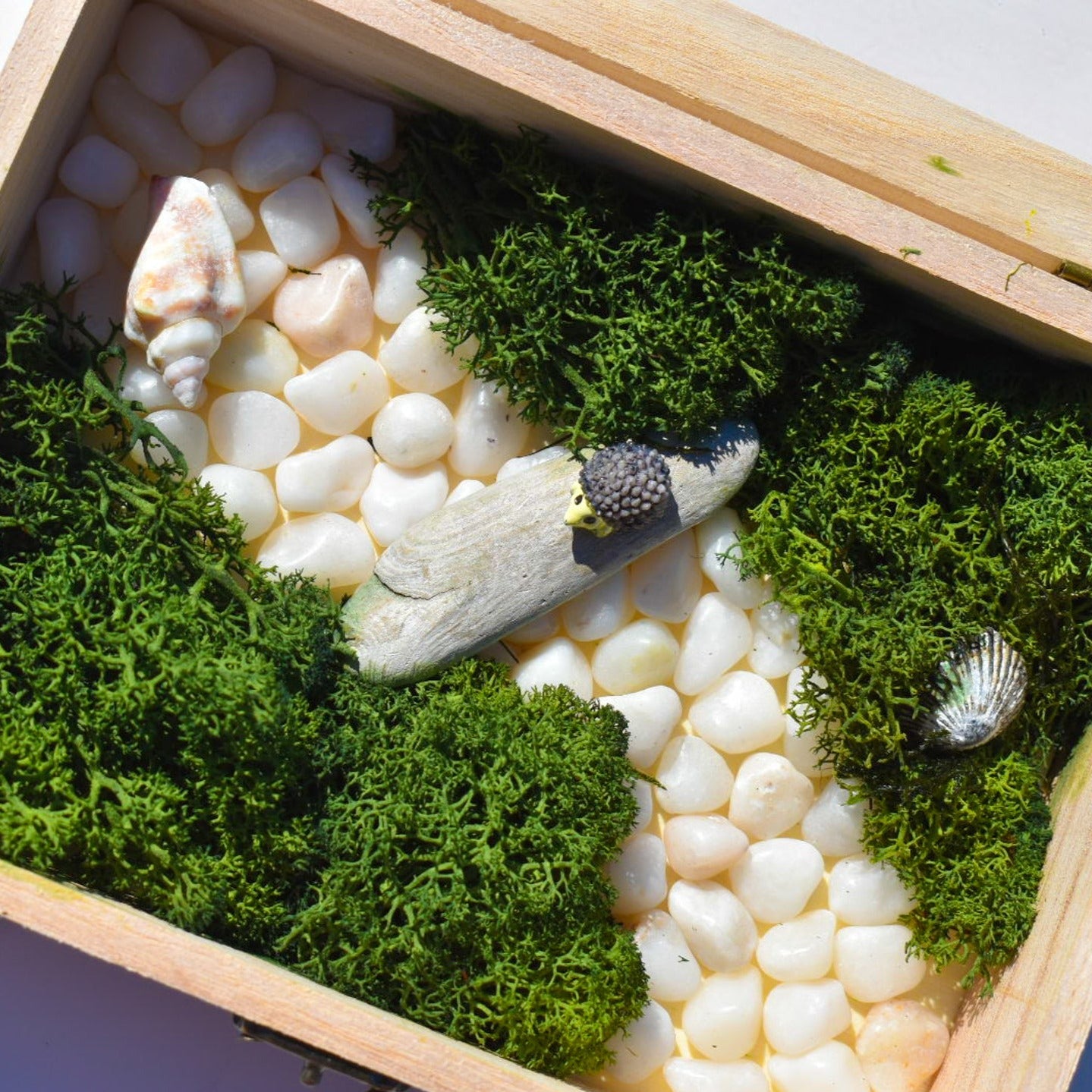 DIY Moss Art, DIY Kit, Moss Art, Moss Art Kit, Holiday Gift, Christmas Gift, Birthday Gift, Wall Art, DIY Moss Kit, Activity Box Diy Crafts