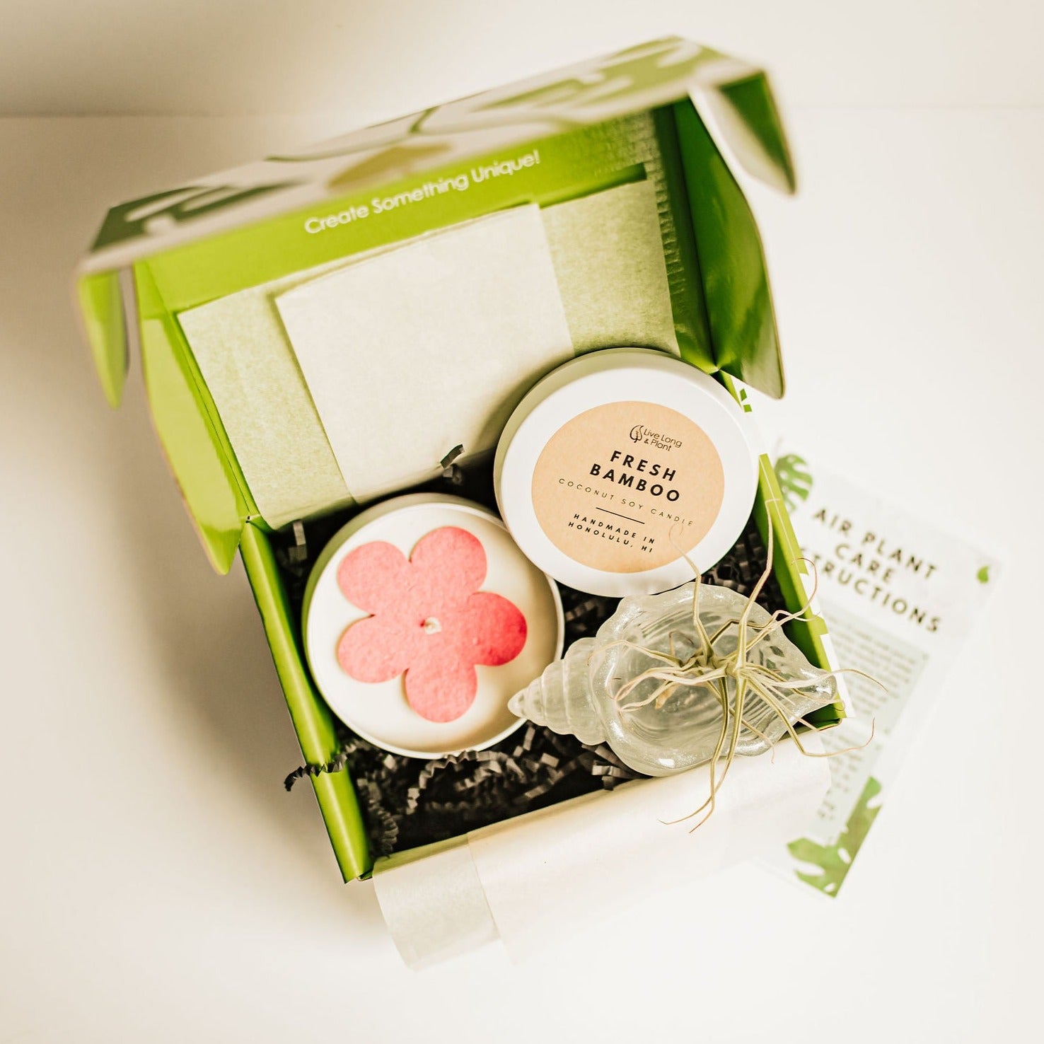air plant gift box Air Plant and Candle Spa Gift Box Garden Party / Silver Moon