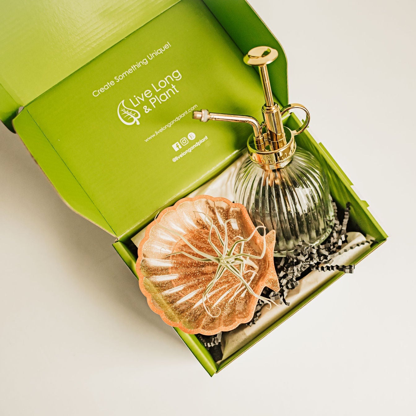 air plant box Air Plant & Plant Mister Gift Box Clear with Gold Flakes