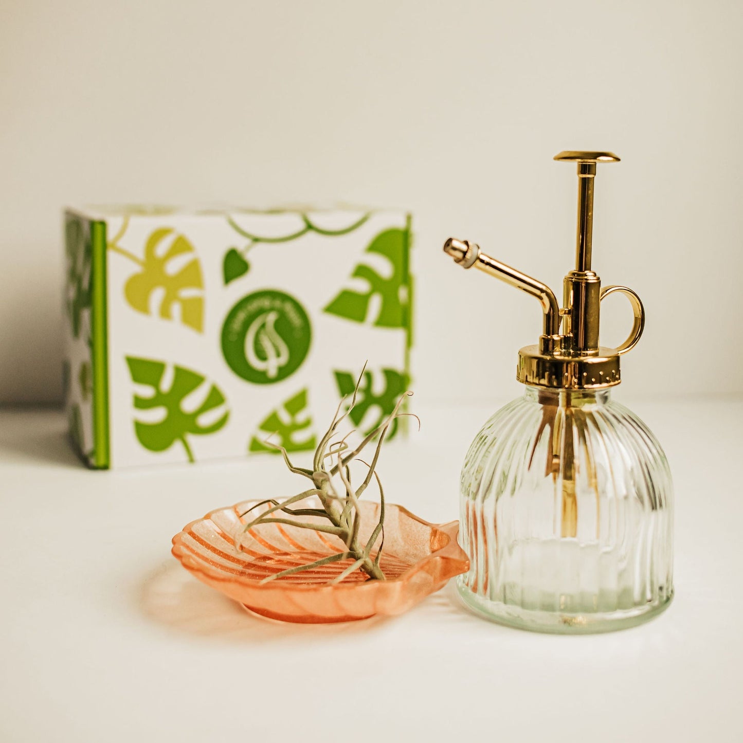 Air Plant & Plant Mister Gift Box