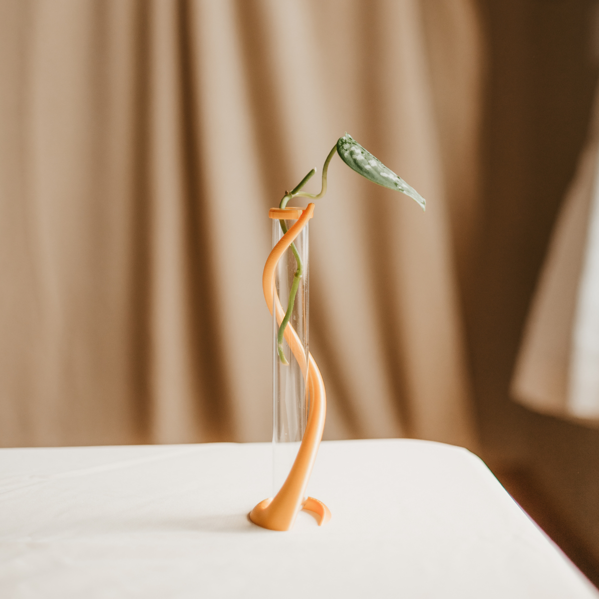 stand for propagating  slim propagation stand  skinny propagation stand  propagation stand  propagation  propagating  plant store  plant shop  plant parent  plant mom  plant gifts  plant gift  online plant shop  live long and plant  indoor plant  green propagation stand  gold propagation stand  glass planter