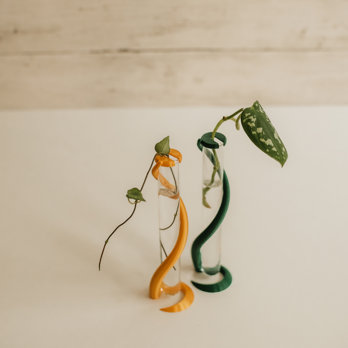 stand for propagating slim propagation stand skinny propagation stand propagation stand propagation propagating plant store plant shop plant parent plant mom plant gifts plant gift online plant shop live long and plant indoor plant green propagation stand gold propagation stand glass planter