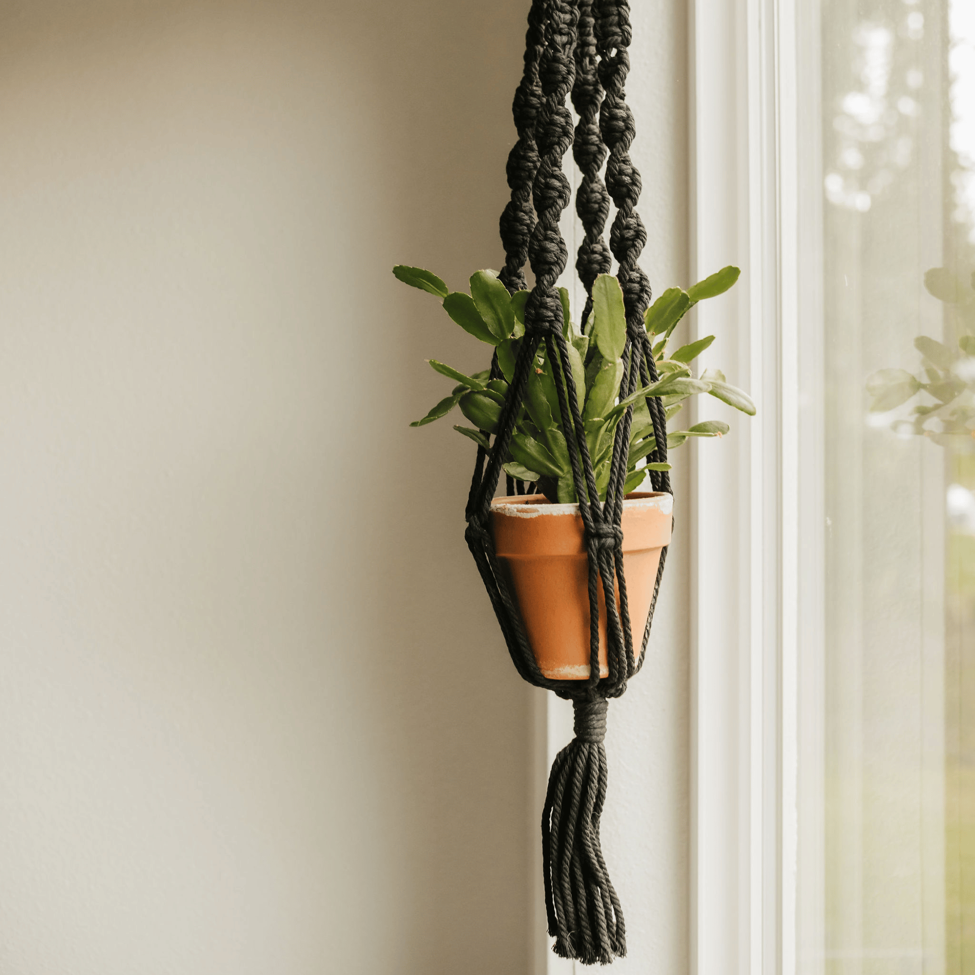 macrame plant hanger with wooden base Macrame Hanger, Wooden Ring Holder Taupe