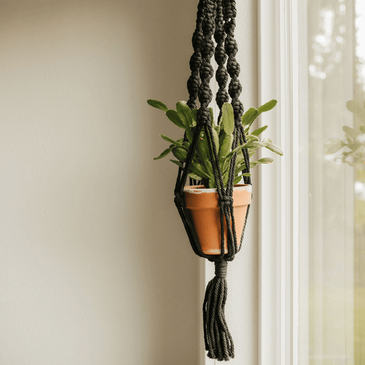 plant store, plant shop, plant parent, plant mom, plant hanger, plant gifts, plant gift, online plant shop, macrame plant hanger. live long and plant, macrame, macrame hanger, plant accessory, plant accessories, hanger for plant