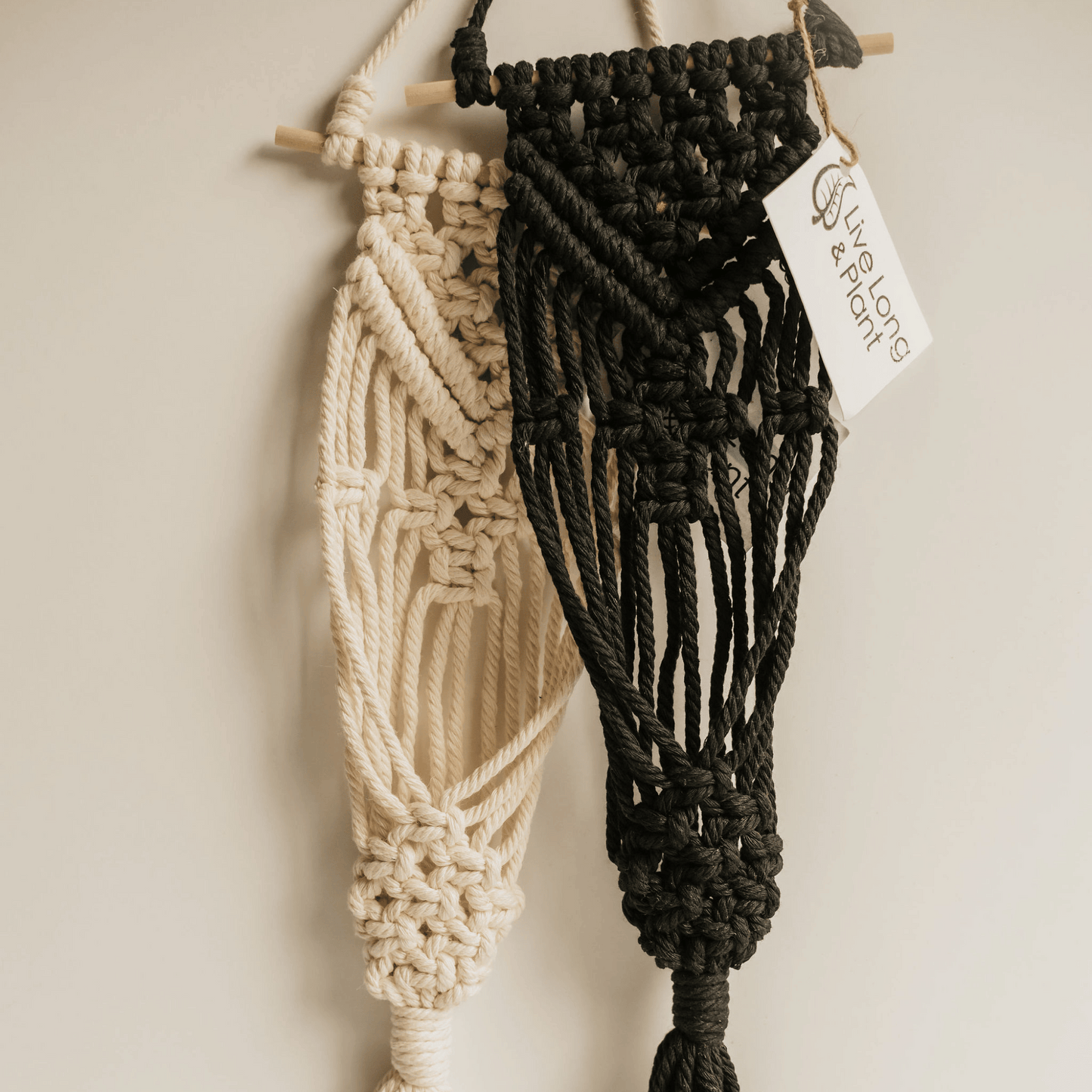 plant store, plant shop, plant parent, plant mom, plant hanger, plant gifts, plant gift, online plant shop, macrame plant hanger. live long and plant, macrame, macrame hanger, plant accessory, plant accessories, hanger for plant