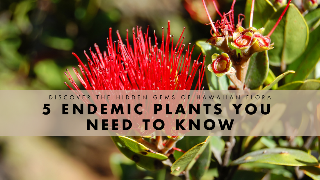 Discover the Hidden Gems of Hawaiian Flora: 5 Endemic Plants You Need to Know