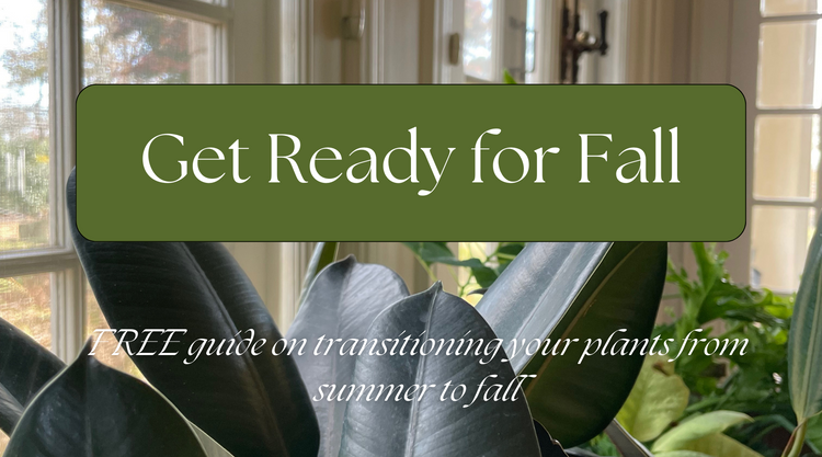 Get Ready for Fall – Live Long And Plant
