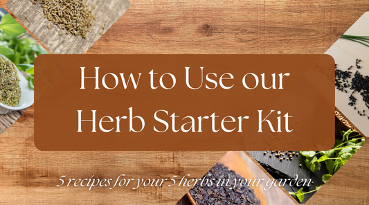 How To Use Our Herb Starter Kit
