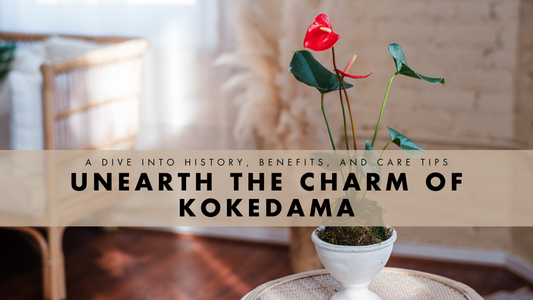 history of kokedama