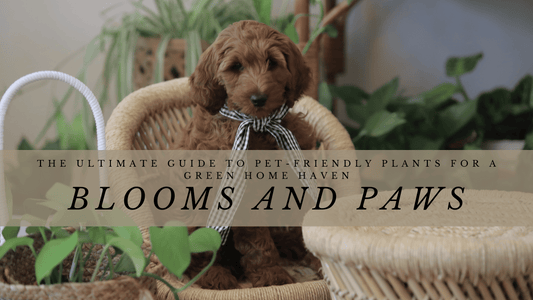 Blooms and Paws: The Ultimate Guide to Pet-Friendly Plants for a Green Home Haven