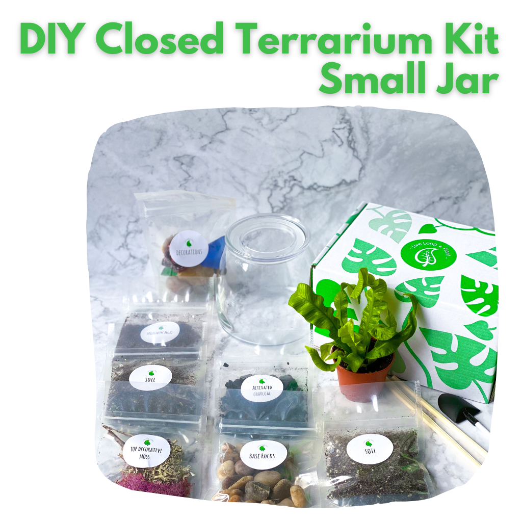 Terrarium Live Long And Plant
