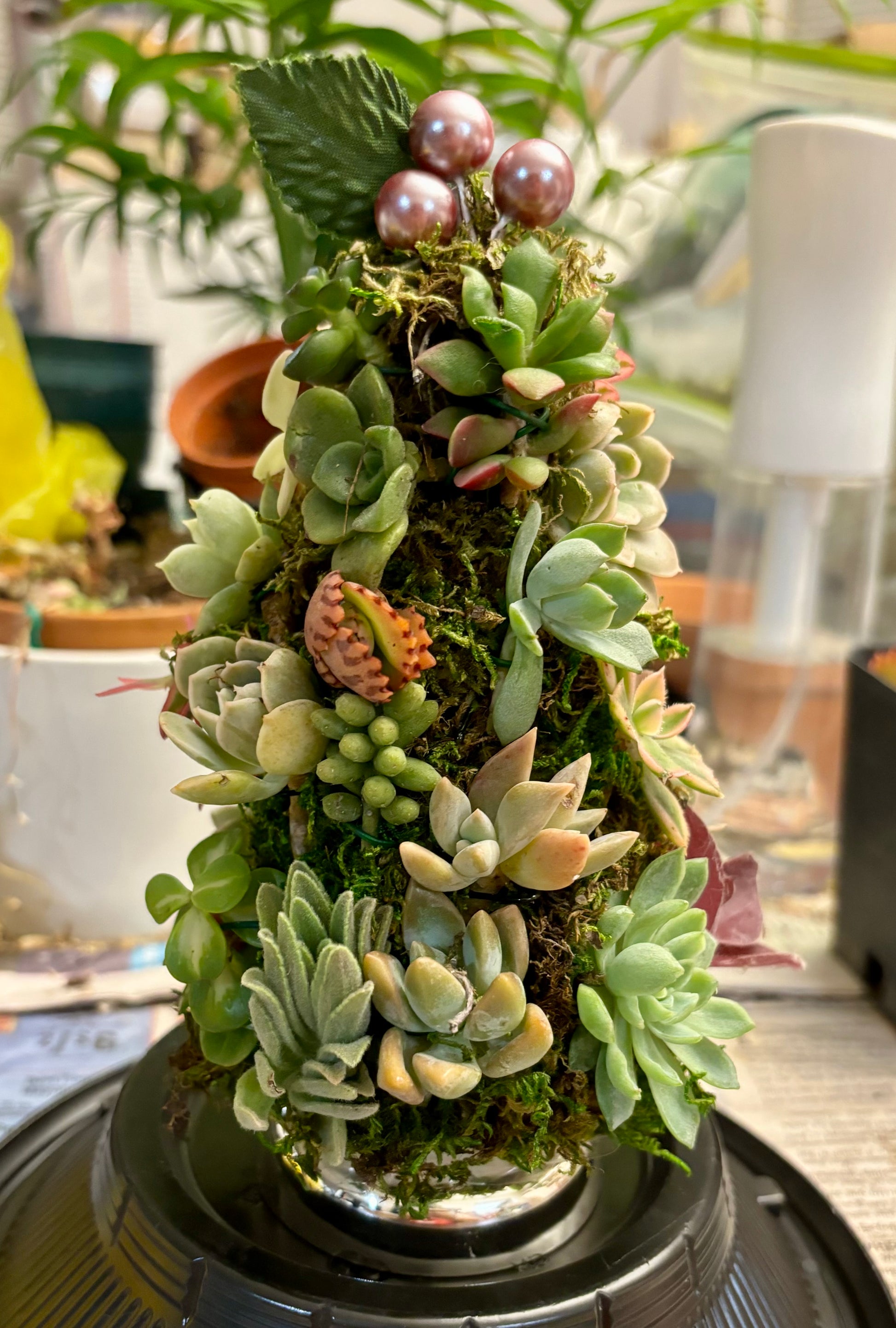 succulent plant workshop Succulent Christmas Tree Workshop 🎄