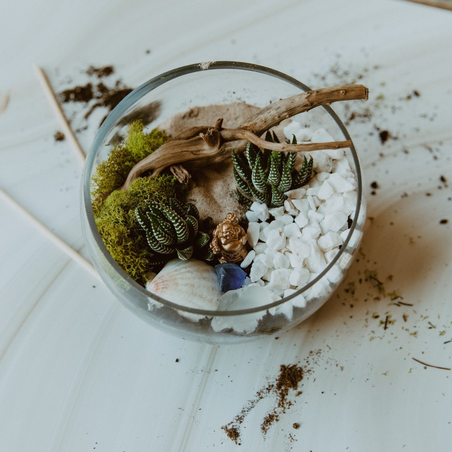 Succulent Terrarium Workshop (Private Party) – Live Long And Plant