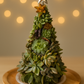 Succulent Christmas Tree Workshop 🎄 | Explore a Creative Holiday Experience ✨