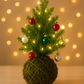 🎄Kokedama Christmas Tree Workshop in Hawai‘i🎄