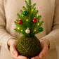 🎄Kokedama Christmas Tree Workshop in Hawai‘i🎄(Private Party)