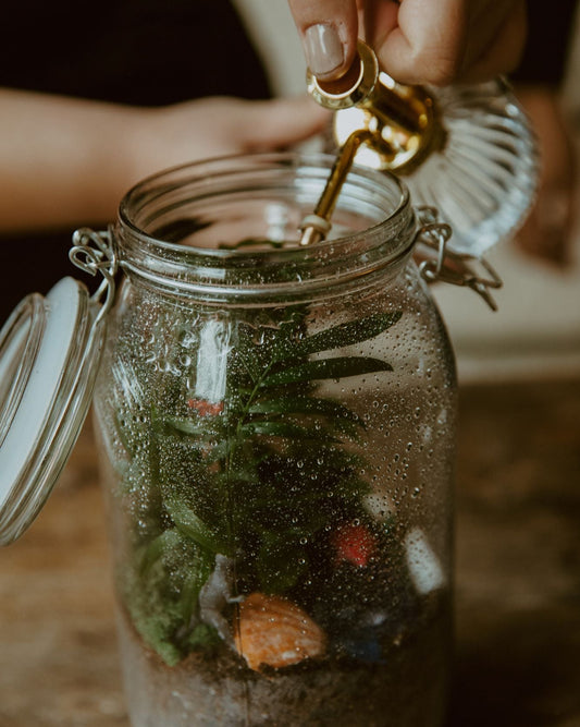 The Art of Closed Terrariums: A Hands-On Workshop Experience