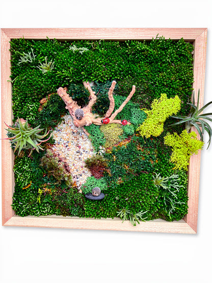 Create-Your-Own Moss and Air Plant Wall Art Workshop - Low Maintenance!