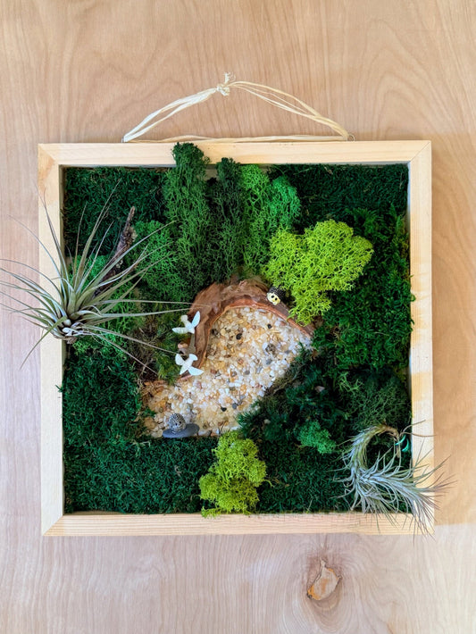 Moss wall art with a wooden frame on a wooden surface