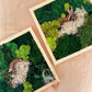 Two framed moss wall art pieces on a wooden surface