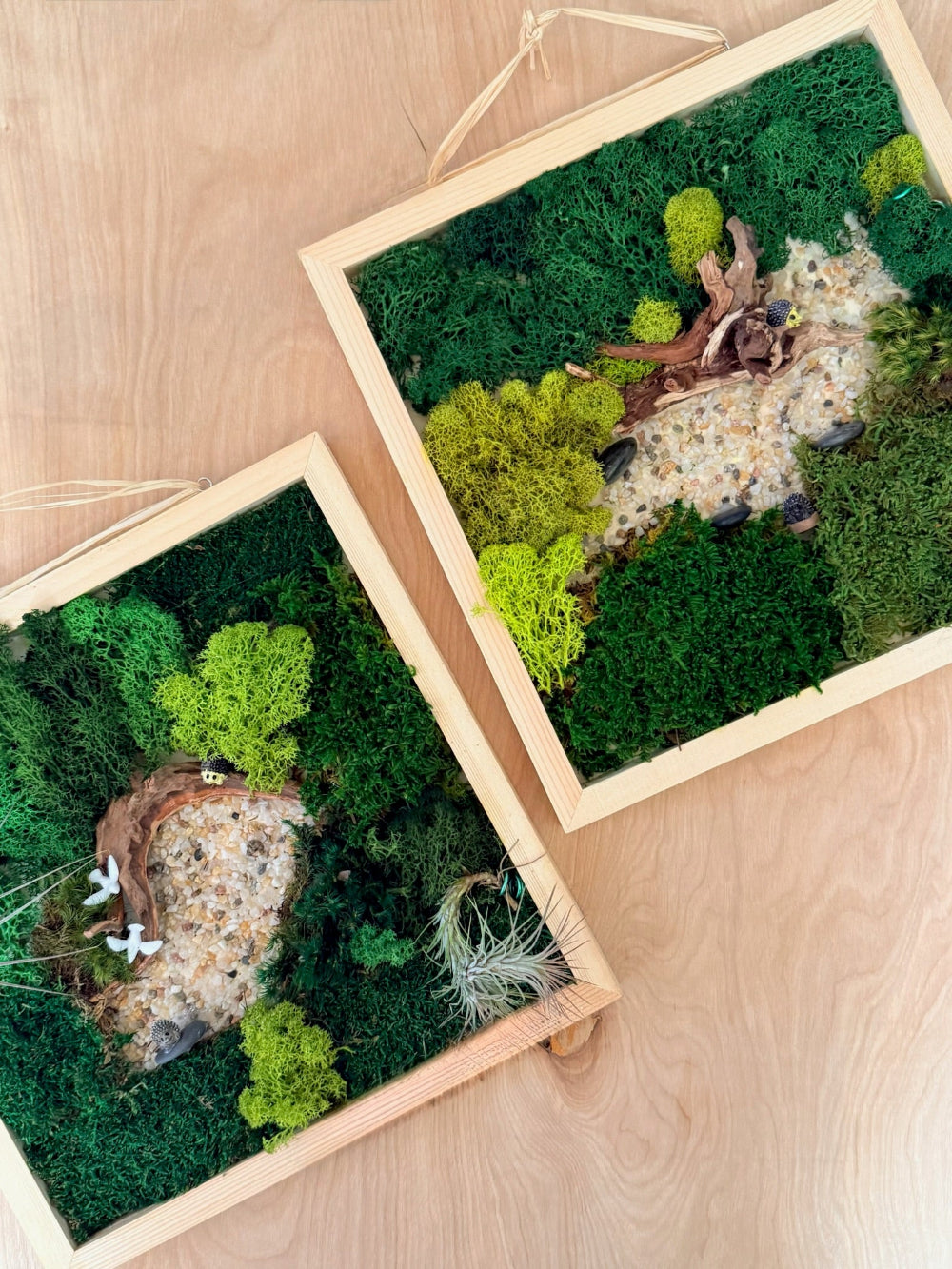 Two framed moss wall art pieces on a wooden surface